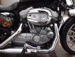     Harley Davidson XL883L-i 2009  16